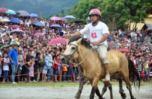 dua ngua bac ha sunwin 3 min